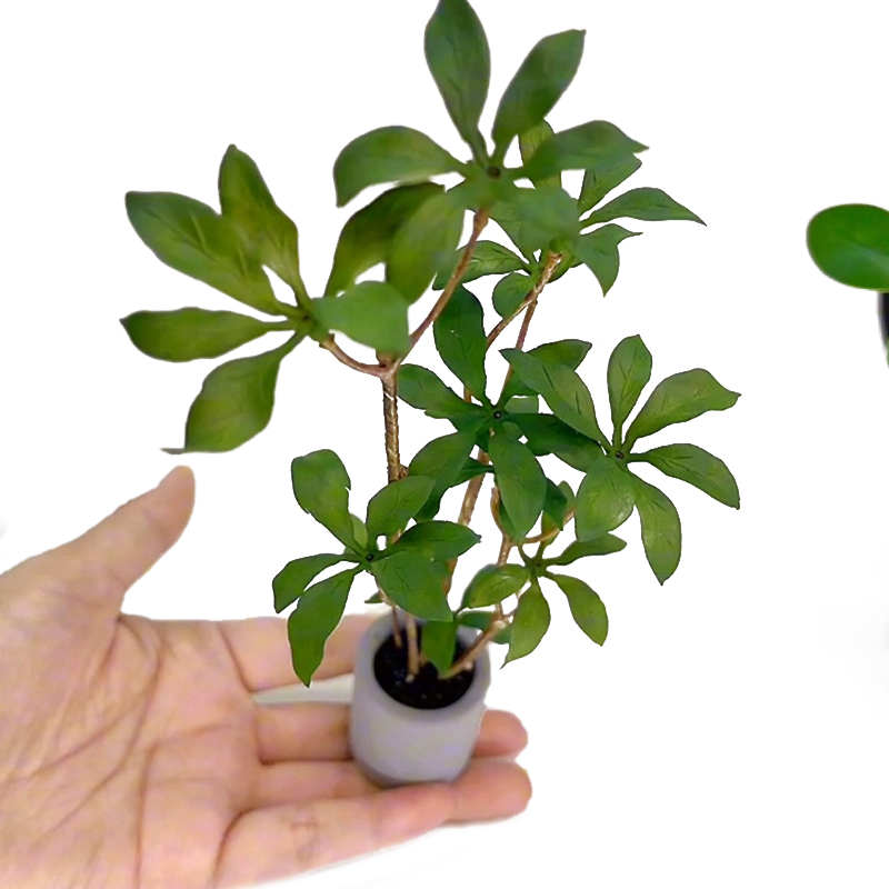 1:6 Dollhouse Miniature Potted - Bonsai Garden Europe review and price