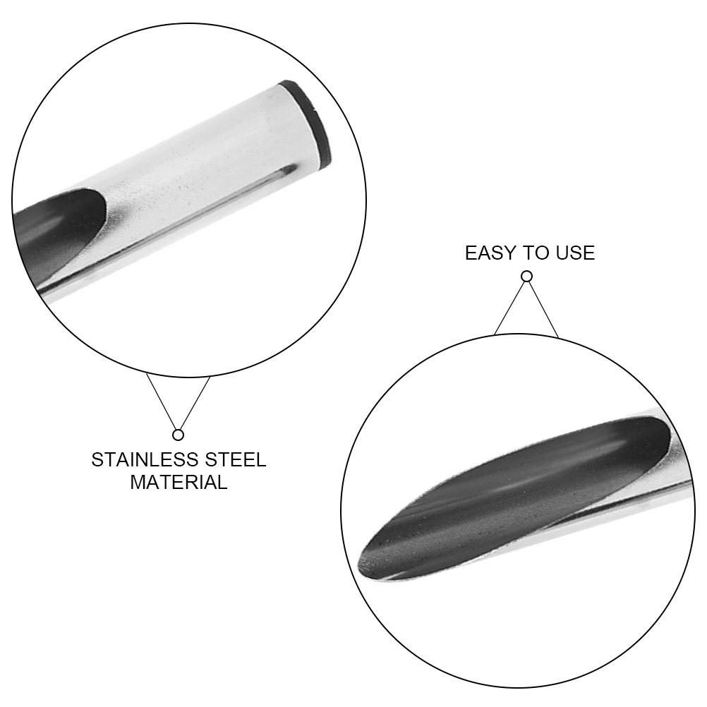 Portable Stainless Steel Plant - Soil Scoop Tool review and price