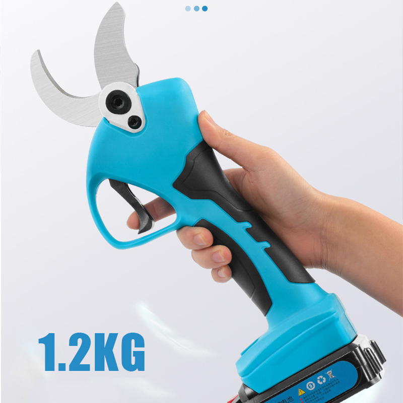 21V Cordless Lithium-ion Progr - Bonsai Garden In Dc review and price