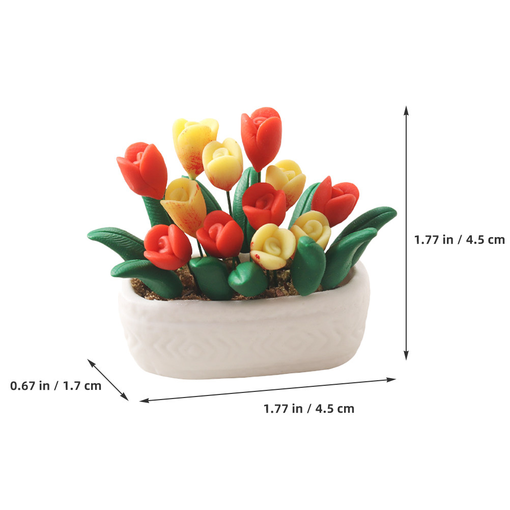 Mini Tulip Potted Plant Bright - Bonsai Garden Europe review and price