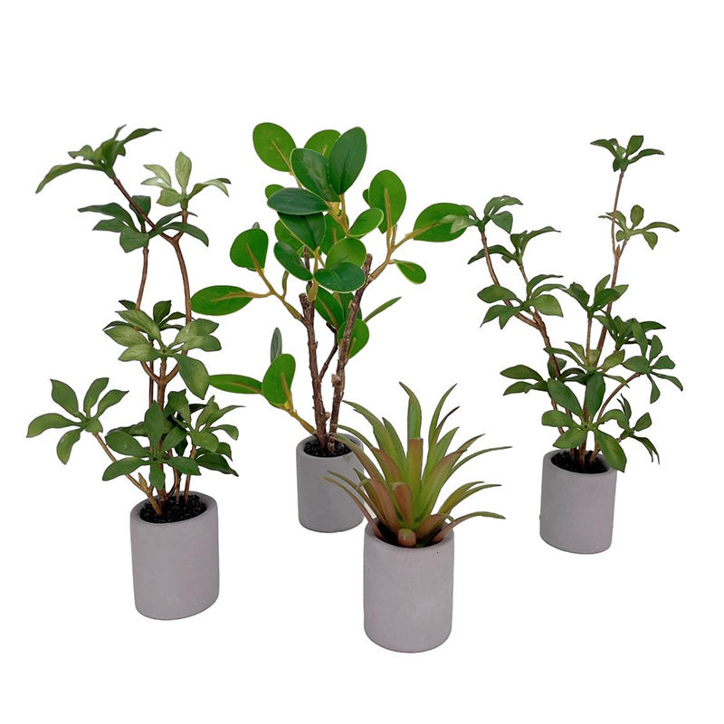 1:6 Dollhouse Miniature Potted - Bonsai Garden For Home review and price
