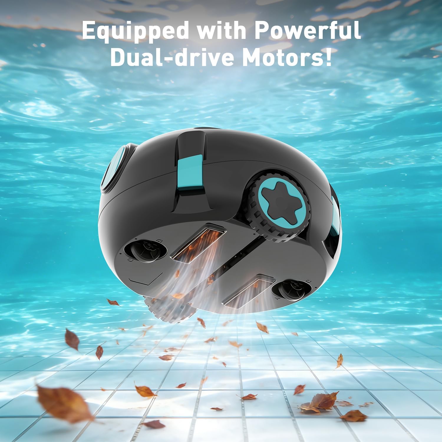 HIXZAP Pool Cleaner Offers a R - Bonsai Rock Garden review and price