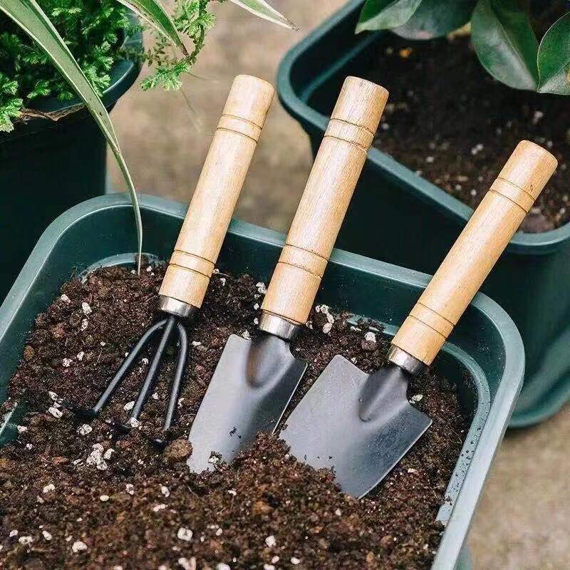 3PC/1Set Mini Gardening Tools  - Soil Scoop Tool review and price