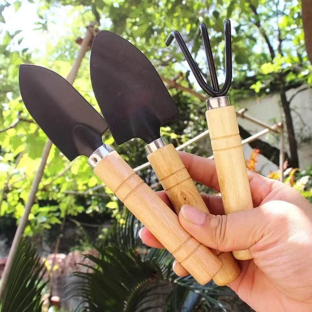3Pcs/Set Mini Garden Tool Set  - Soil Scoop Tool review and price