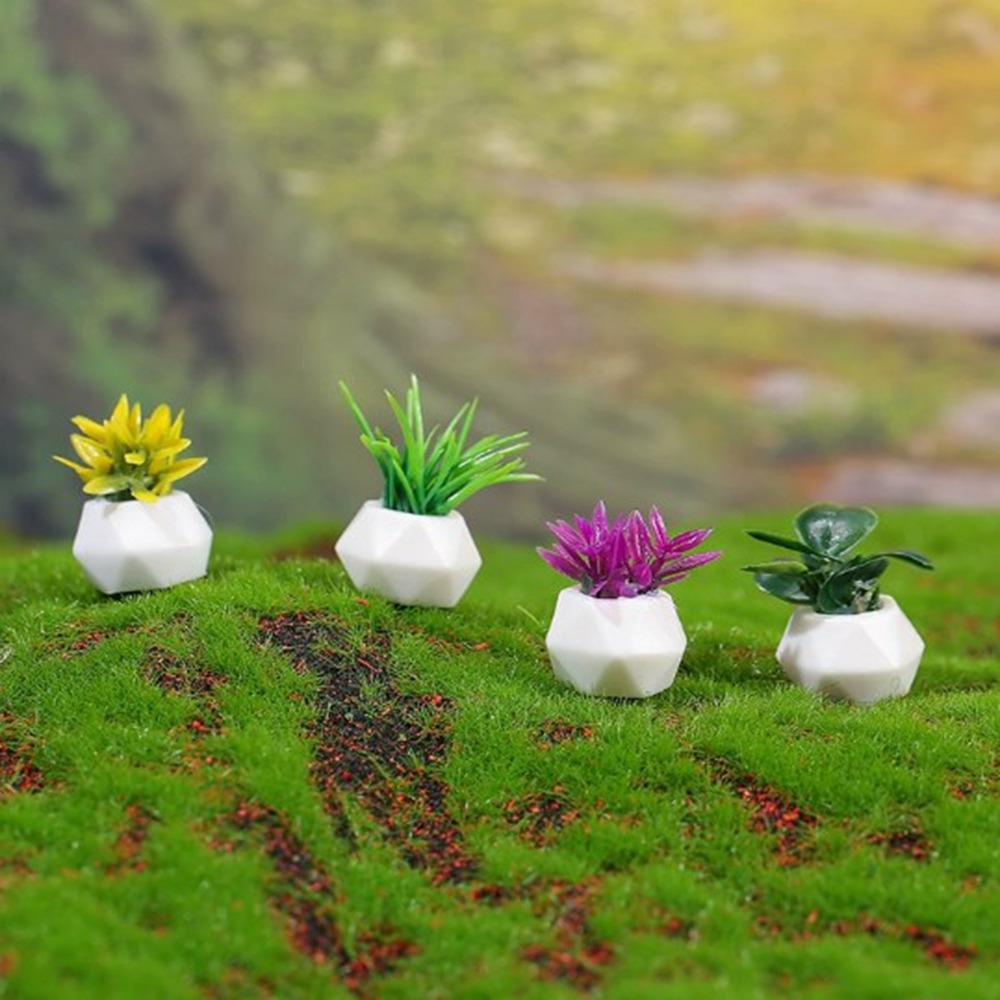 1:12 Dollhouse Miniature Potte - Bonsai Garden For Home review and price