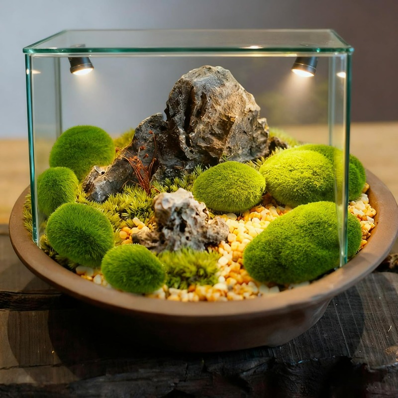 50/5PCS Artificial Foam Moss R - Bonsai Rock Garden review and price