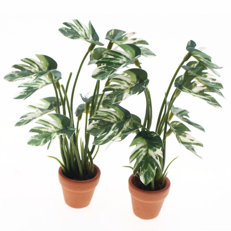 New.1PC 1/12 Dollhouse Simulat - Bonsai Garden Decor review and price