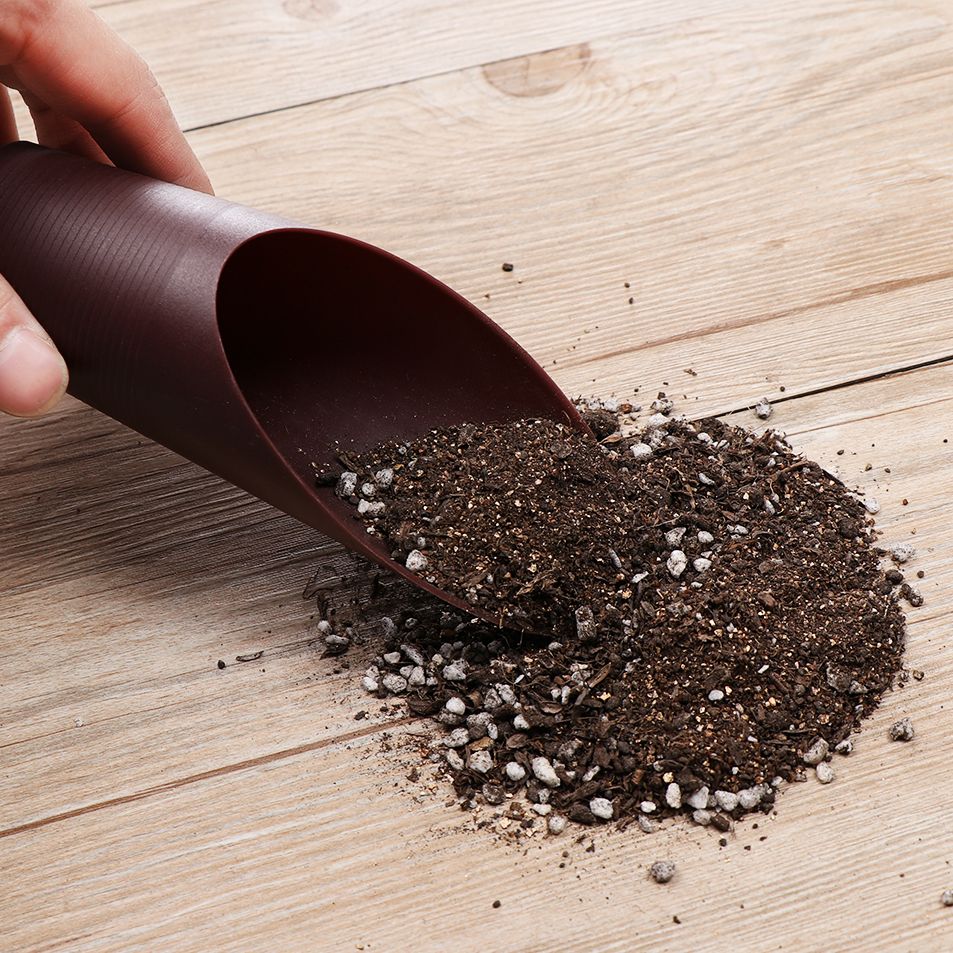 1PC Plastic Soil Shovel Cup Fo - Bonsai Garden For Home review and price